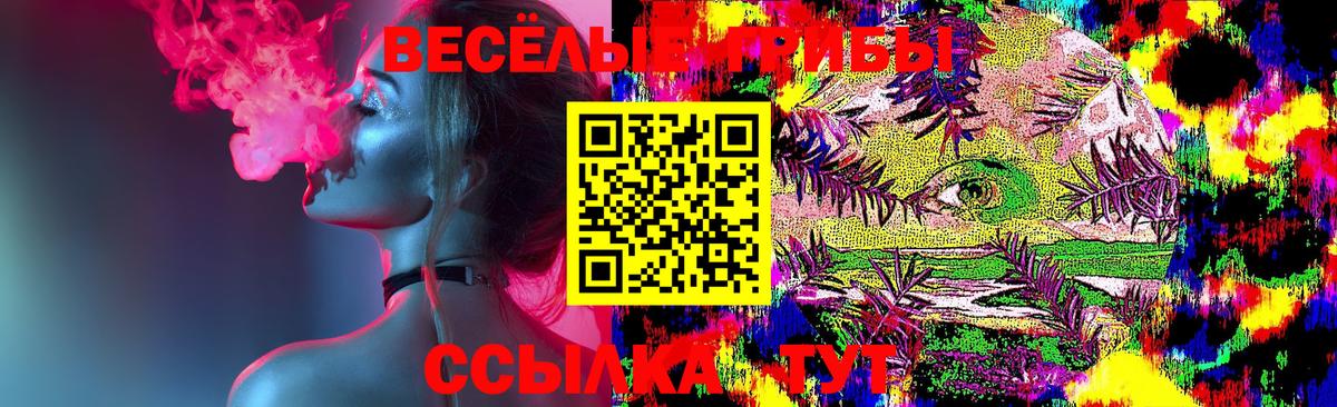 Псилоцибиновые грибы GOLDEN TEACHER Зима