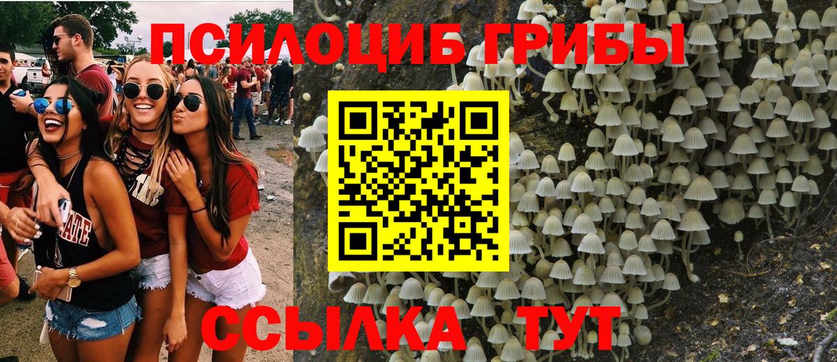 Зима  Псилоцибиновые грибы Psilocybe  Галлюциногенные грибы ЛСД  Вход с VPN 